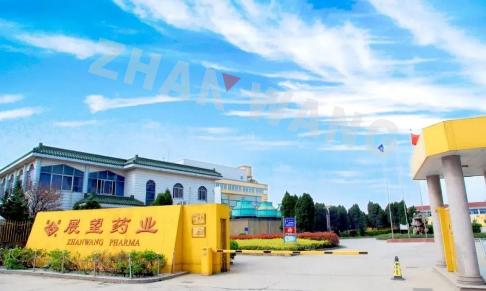 湖州展望药业有限公司获评浙江省湖州市四星级绿色工厂