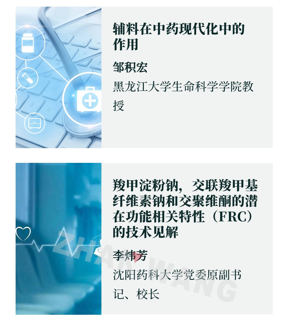 展望药业“2023年处方和工艺设计中辅料应用高端论坛”邀请