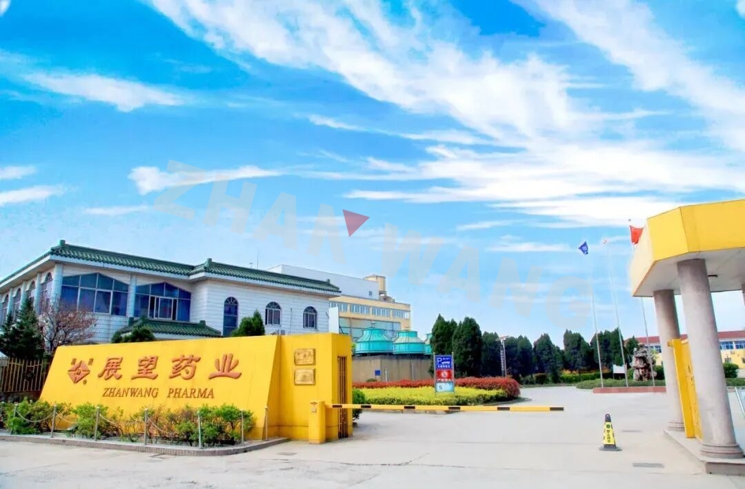 湖州展望天明药业有限公司再获知识产权管理体系认证