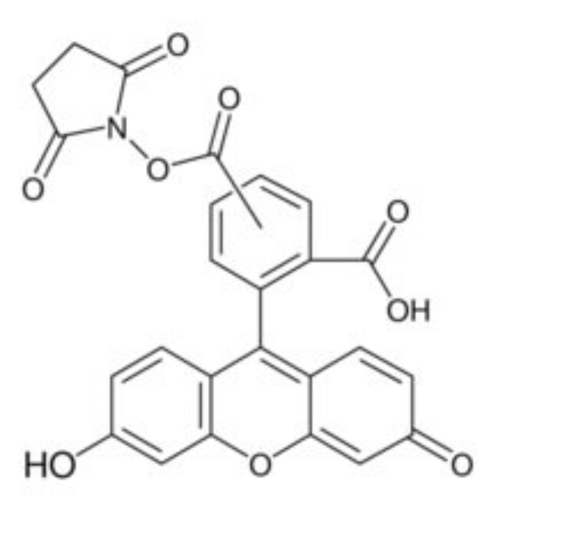 5(6)-羧基荧光素琥珀酰亚胺酯